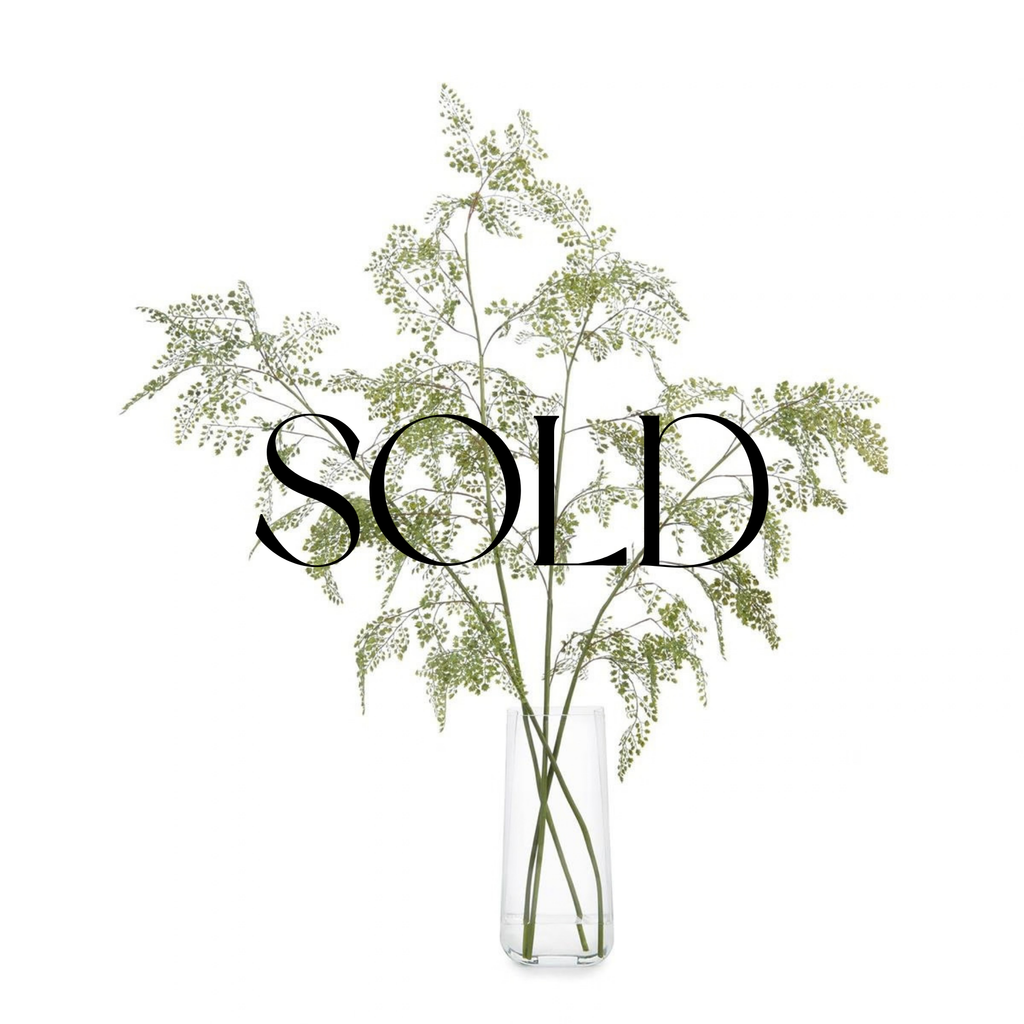 SOLD - Aqua Fern - 53x26x53