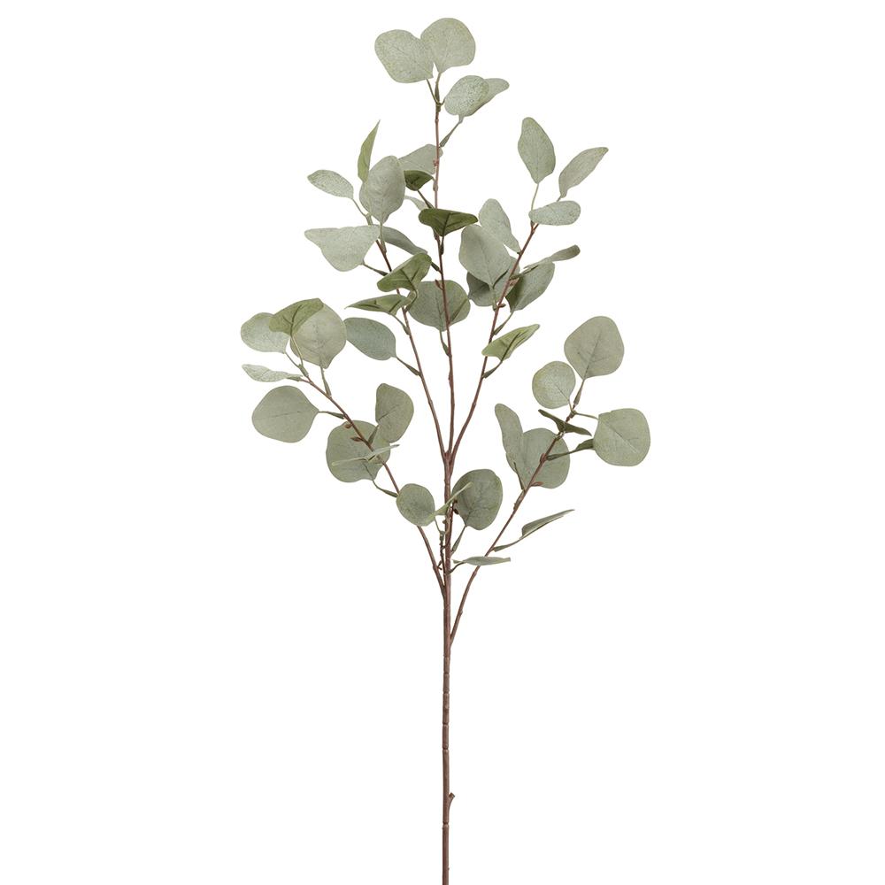 Eucalyptus Spray Branch (ea.)