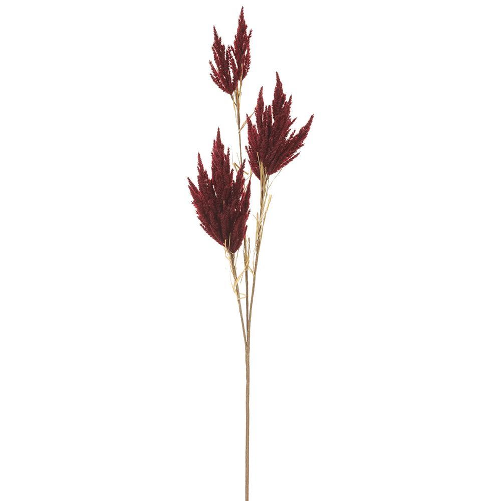 Pampas Grass Spray Burgundy Branch (ea.)