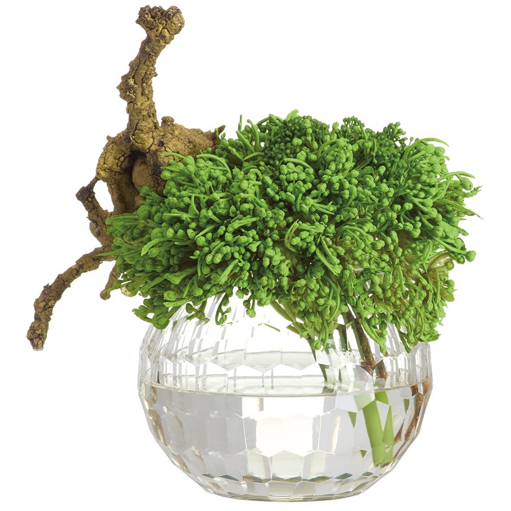 Sedum/Driftwood in Patterned Round Glass