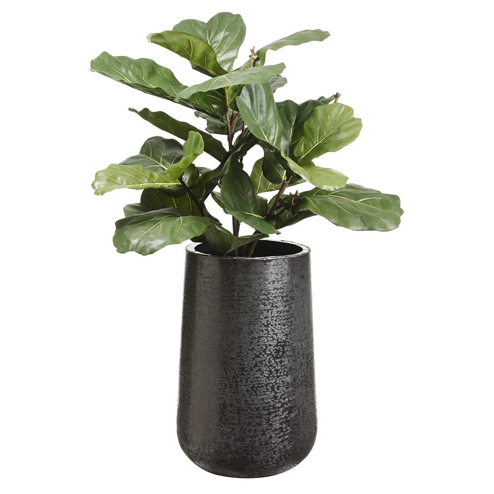 Fiddle Leaf Tree In Textured Planter